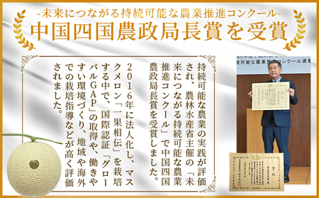 【２回定期便】マスクメロン（家庭用） 1玉入 青肉品種 高級メロン！ ／ マスクメロン 果物 フルーツ ギフト 農家直送 Wtn-0057
