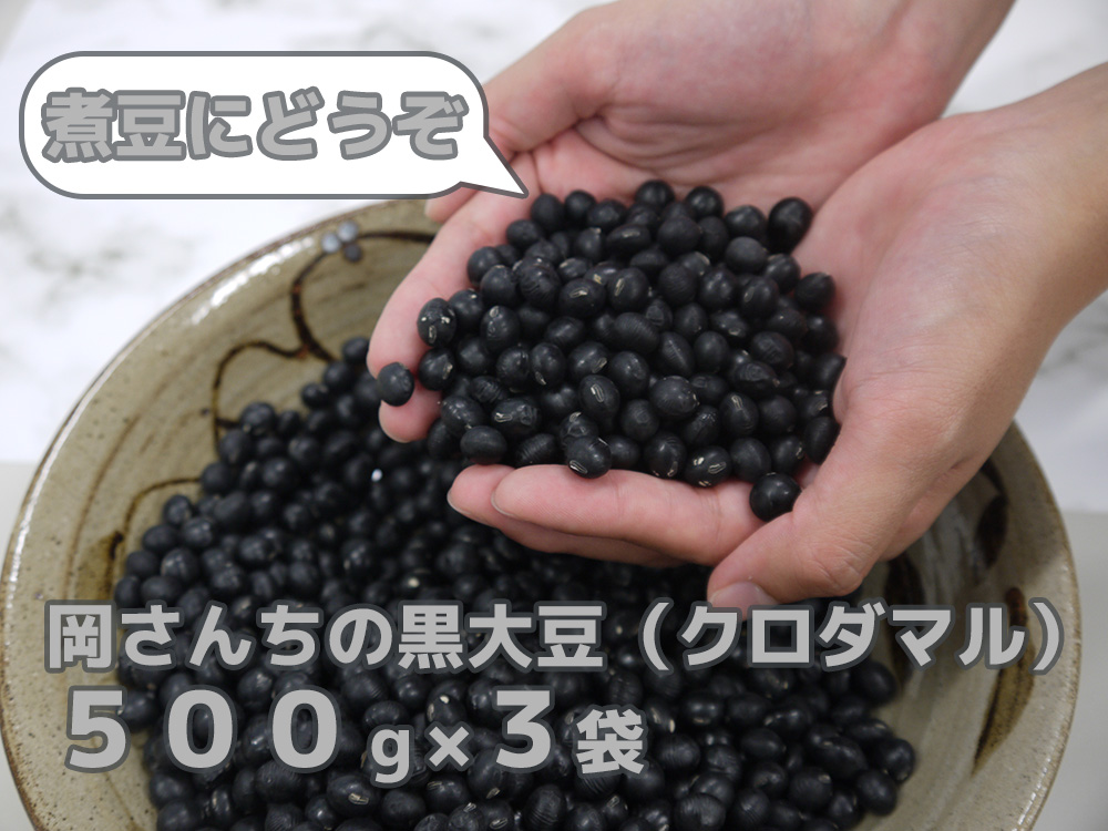 BE027_佐賀県みやき町農家岡さんちの黒大豆クロダマル500g×３袋