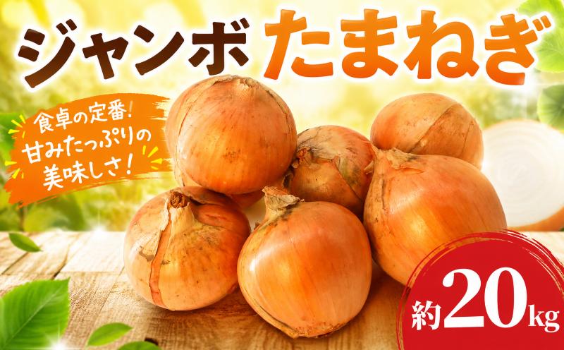 
                  玉ねぎ 約 20kg ジャンボ たまねぎ タマネギ 玉葱 オニオン 大玉 国産 野菜 やさい 旬 みずみずしい サラダ カレー 炒め物 ハンバーグ 肉じゃが 農家直送 茨城県 鉾田市 大洋まいたけセンター
                