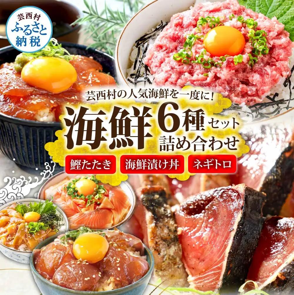 【ふるなび限定】かつおのたたき600g ネギトロ80gx2P 漬け丼の素80g×4P FN-Limited-PR