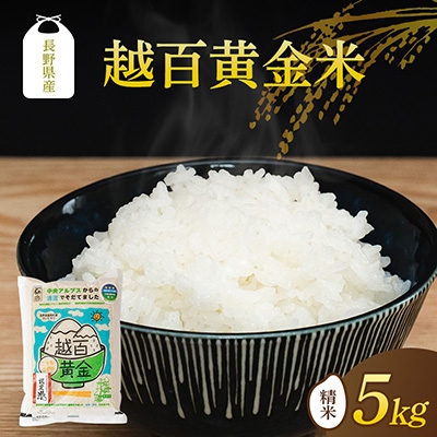
            長野県産 越百黄金米(精米)5kg【1575178】
          