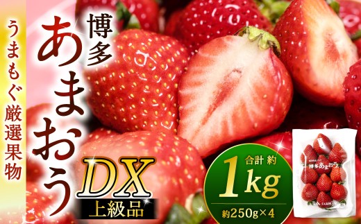 博多あまおう DX上級品 約1kg（約250g×4パック入り）