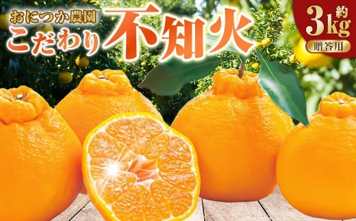 熊本産 おにつか農園 こだわり 不知火 贈答用 約3kg デコポン【2026年3月下旬中順次発送開始予定】