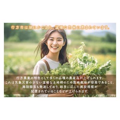 ふるさと納税 行方市 【2週間毎定期便】【3ヶ月定期便】野菜王国なめがたの野菜もりもり定期便　月2回発送CU-140全6回 |  | 01