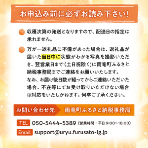 【数量限定】なまら甘い！北海道雨竜町産 さつまいも 「紅はるか」  Ｍ-Ｌサイズ 1kg 大きめサイズ 産地直送 さつまいも サツマイモ 北海道 国産 おやつ お菓子作り 料理