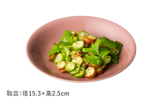 【波佐見焼】水柿（みずがき）色の波佐見焼 6型セット 小皿 茶碗 小鉢 大皿 【DRESS】 [SD07]