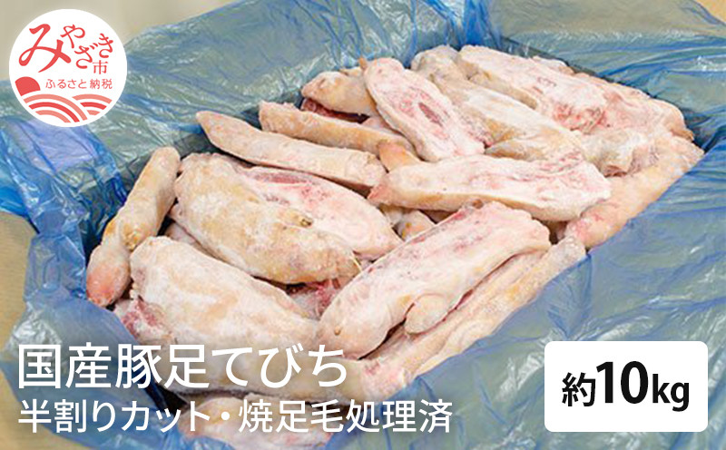 
国産 豚足てびち 半割りカット済み 焼足毛処理済 冷凍 約10kg (20～30本前後)_M032-002_01
