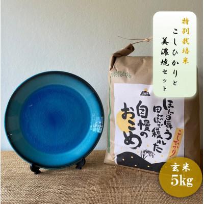 ふるさと納税 多治見市 【令和7年産:玄米】特別栽培米コシヒカリ(5kg)+【美濃焼】青輝貫入7寸皿