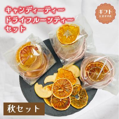 ふるさと納税 下関市 紅茶 セット ギフト フルーツティ ドライフルーツ LL003