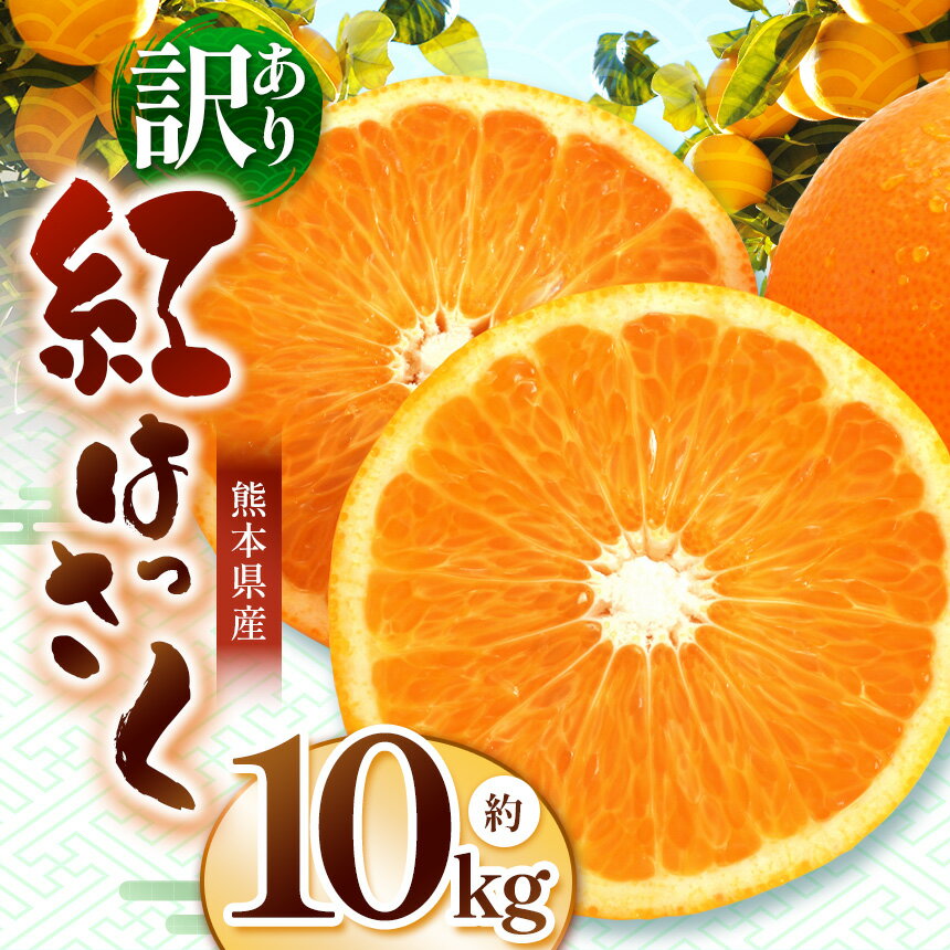 【ふるさと納税】こだわり栽培 訳あり 紅八朔 約 10kg iFARM 岩城農園 | みかん ミカン 八朔 はっさく 紅はっさく 柑橘 柑橘類 農家支援 紅八朔10kg 家庭用 ご家庭用 フルーツ 果実 果物 くだもの 人気 熊本県 玉名市