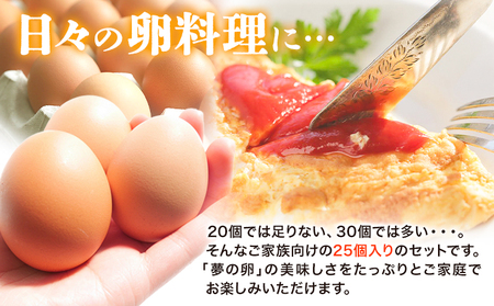 卵 たまご 赤玉 夢の卵 ファミリー 50個《90日以内に出荷予定(土日祝除く)》株式会社めぐみ 岡山県 浅口市 送料無料 25個 × 2セット たっぷり 家族 食卓