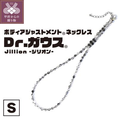ふるさと納税 甲府市 Dr.ガウス 　Jillion -ジリオン-　Sサイズ