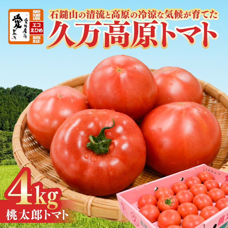 【ふるさと納税】久万高原トマト 4kg そのままでも 美味しい【桃太郎トマト】久万高原町｜特別栽培 エコえひめの認証 トマト とまと トマト産地 産地直送 ソース ジュース 自然栽培 野菜 安心 安全 旬 愛媛 ※離島への配送不可 ※2025年7月中旬頃より順次発送予定
