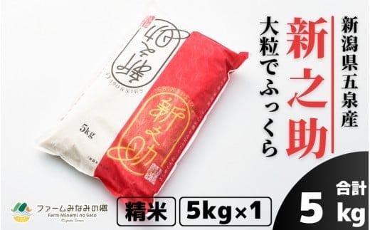令和7年産 新之助 精米 5kg 新潟県 五泉市 ファームみなみの郷