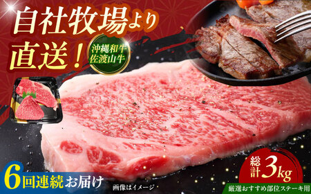 牛肉 ステーキ 【全6回定期便】【厳選！おすすめ部位】沖縄和牛 佐渡山牛 ステーキ肉 500g  BCBC006 牛肉