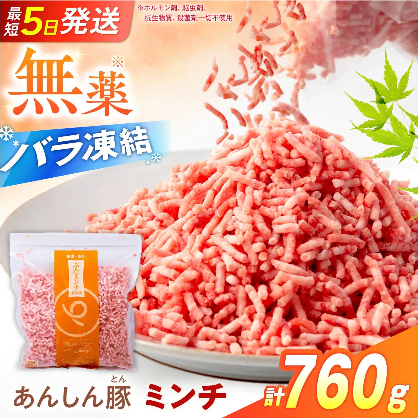 豚肉 ミンチ 計760g《バラ凍結》藤井ファーム[AWAF087]豚ミンチ