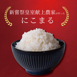 【令和8年産】 米 定期便 10kg×4回 にこまる 米 AS015