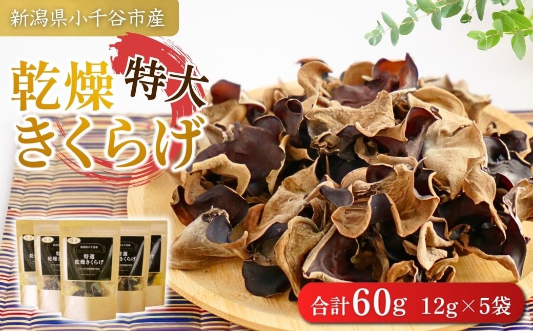 
            新潟県小千谷市産 【特大サイズ】乾燥きくらげ (12g×5袋) 木村食品 【0002-0289-01】
          