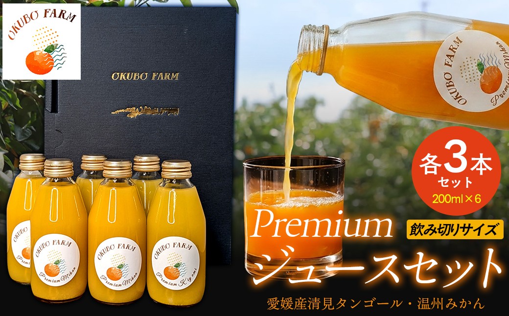 
                  Premiumジュース飲み切りサイズセット【 ふるさと納税 人気 おすすめ ランキング 柑橘 みかん ミカン フルーツ ジュース みかんジュース ミカンジュース オレンジジュース 清見 温州みかん 果物 OKUBO FARM 愛媛県 伊方町 送料無料 】IKTAT014
                