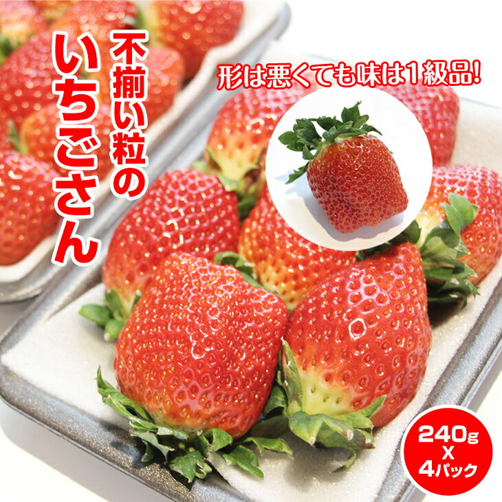 【ふるさと納税】 【先行予約1月配送開始】不揃い粒の いちごさん （ 240g×4P ）江島農園 農家 直送品 果物 くだもの フルーツ 人気 ランキング 高評価 苺 イチゴ 【B100-012】