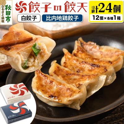 ふるさと納税 秋田市 【至福の白餃子・比内地鶏餃子24個詰合せ】餃子の餃天|15_ggt-072401