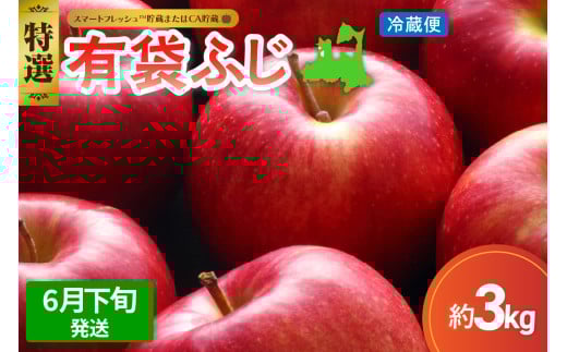 【2026年6月下旬発送】りんご有袋ふじ3kg特選(スマートフレッシュTM貯蔵またはCA貯蔵・クール便)