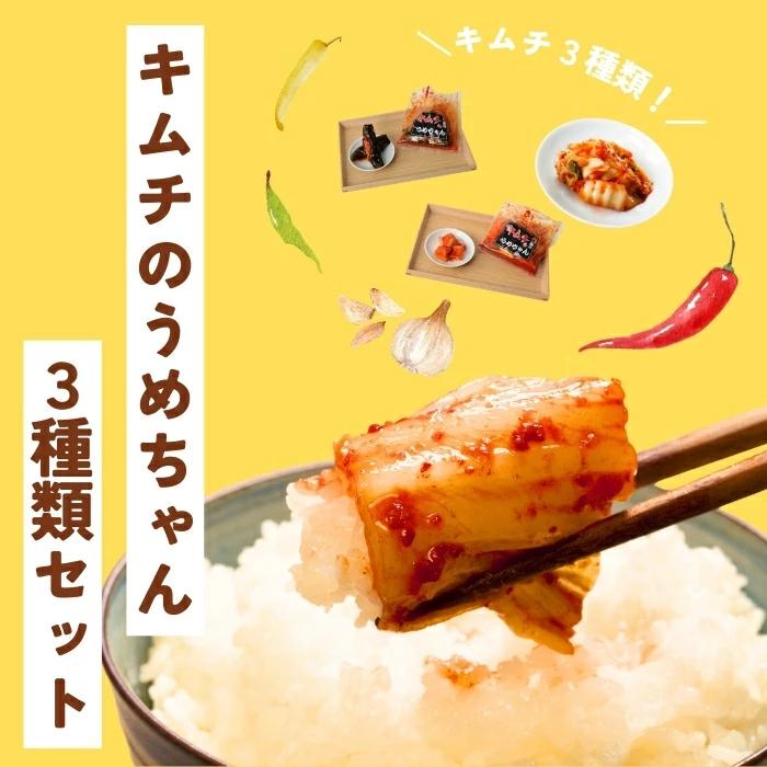 定番キムチ3種類セット キムチ 手作り 780g 白菜 きゅうり 大根 本場の味 発酵食品 韓国 キムチのうめちゃん 奈良県 奈良市 なら 6-011