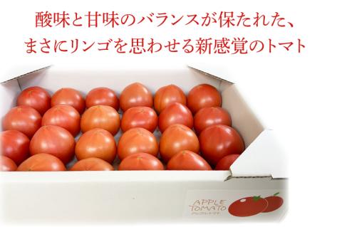 【2026年6月より順次発送】東山農園のアップルトマトとフラガール　合計約1kg｜トマト とまと 野菜 やさい 数量限定 先行予約 アップルトマト 新感覚 濃厚 フルーツ フルーツトマト 茨城県 行方