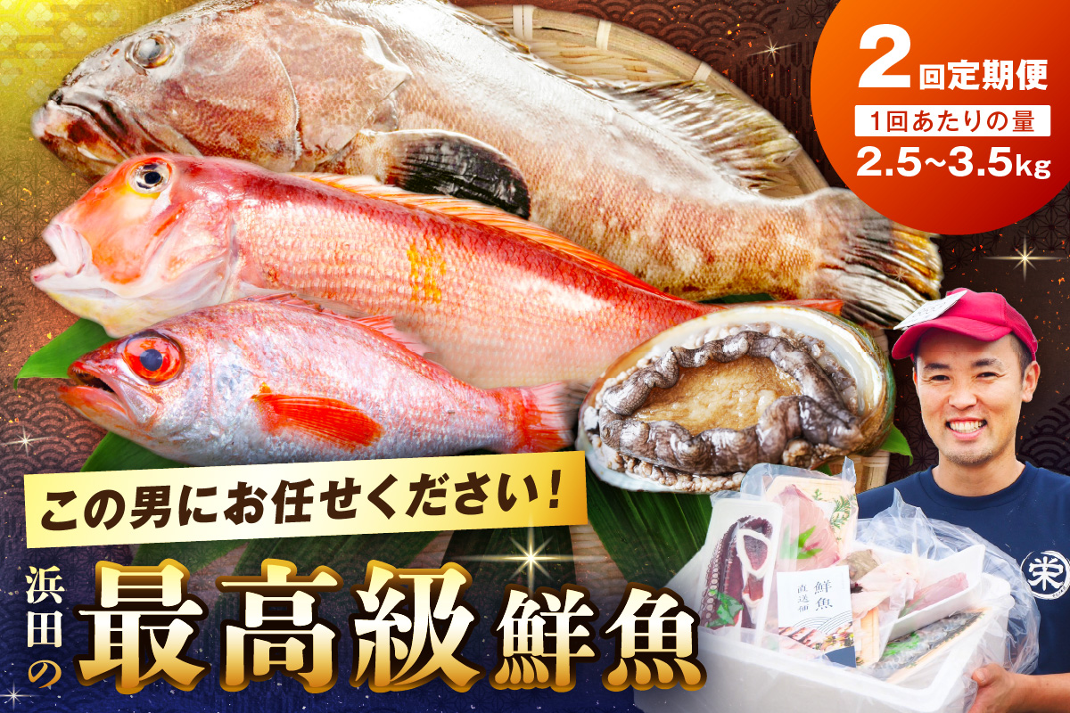 【定期便】どんちっち浜田【極み】鮮魚 2回コース～最高級この男シリーズ～ 海鮮 鮮魚 詰め合わせ セット【006_2016】