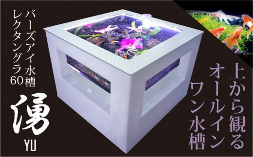 バーズアイ水槽「湧-YU-」レクタングラ60（ホワイト）