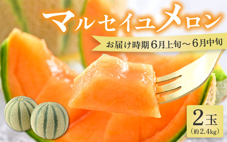 【先行予約】マルセイユメロン 2玉 約2.4kg（約1.2kg以上×2玉）大人気の赤肉品種！高級メロンの味わい ／ 果物 フルーツ ギフト 農家直送 ※2025年6月上旬以降順次発送  [aw065-a005]