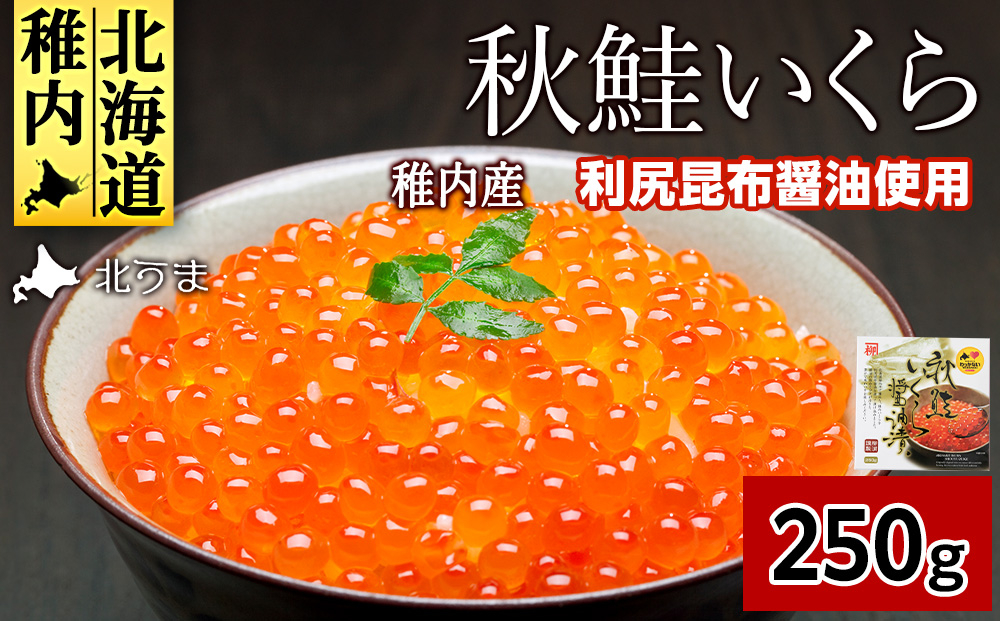 
            ＜宗谷海峡産＞秋鮭いくら醤油漬け250g_ いくら イクラ 魚卵 海鮮 魚介 秋鮭 醤油漬け 鮭 便利 250g 北海道 国産 産地直送 送料無料 人気 お取り寄せ おすすめ 天然 贈答 ギフト グルメ 宗谷海峡 冷凍 
          