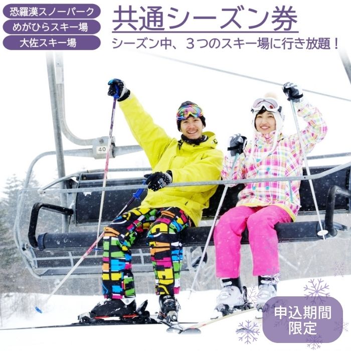 【ふるさと納税】《期間限定》【芸北高原大佐スキー場・恐羅漢スノーパーク・めがひらスキー場】共通シーズン券 2025-2026（大人全日）1枚