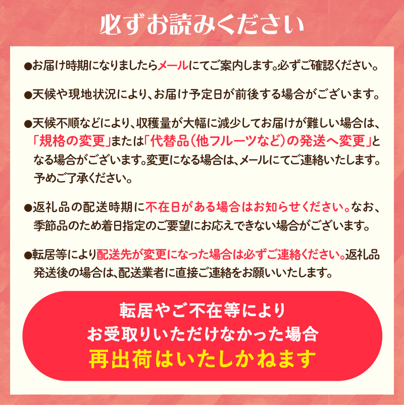 《先行受付》サンふじ約3kg 【2026年12月上旬頃～発送予定】【山形りんご・大江町産】