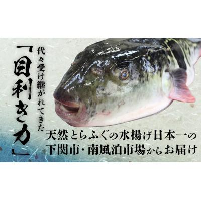 ふるさと納税 下関市 ふぐ フルコース+α 5~6人前 刺身400g ちり 500g 冷凍 下関 山口 BV020_1 |  | 02