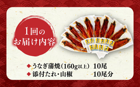 【全12回定期便】福岡県産 うなぎ 蒲焼 大 10尾　計1,600g（1尾あたり 160g以上）《豊前市》【福岡養鰻】 国産 鰻 ウナギ 蒲焼き[VAD029] うなぎ 鰻 鰻の蒲焼 ギフト鰻 国産鰻