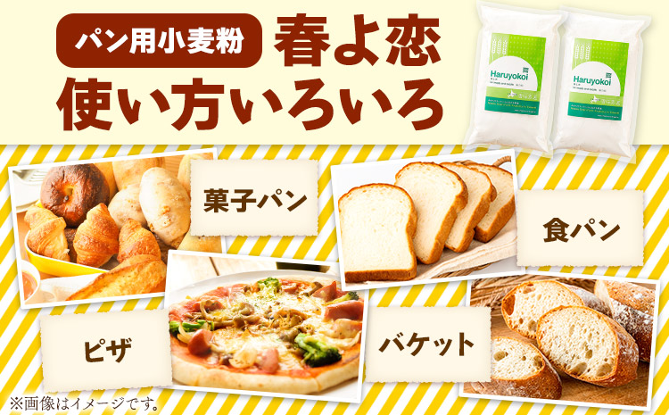 【ふるさと納税】北海道十勝 前田農産パン用小麦粉「春よ恋」5kg(1kg×5袋) 有限会社 十勝太陽ファーム 送料無料《60日以内に出荷予定(土日祝除く)》 北海道 本別町 パン 小麦粉 小麦
