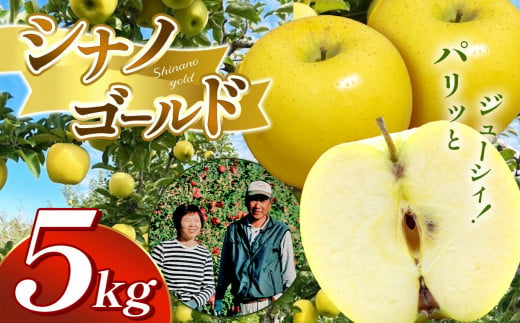 【10月下旬から順次発送】シナノゴールド　5㎏　（14～18玉）【先行予約】 ｜ しなのごーるど シナノゴールド 林檎 りんご 長野県 松本市 果物 フルーツ ふるさと納税