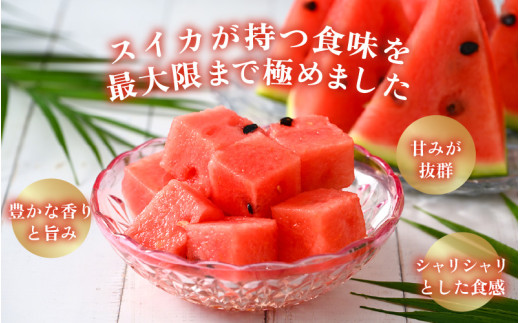 【先行予約】大玉すいか『祭ばやし』 1玉（7～8kg）スイカが持つ食味を最大限まで極めた大きめ品種！ ／ 果物 フルーツ 西瓜 スイカ ギフト 農家直送 ※2026年6月上旬以降発送 [aw065-a