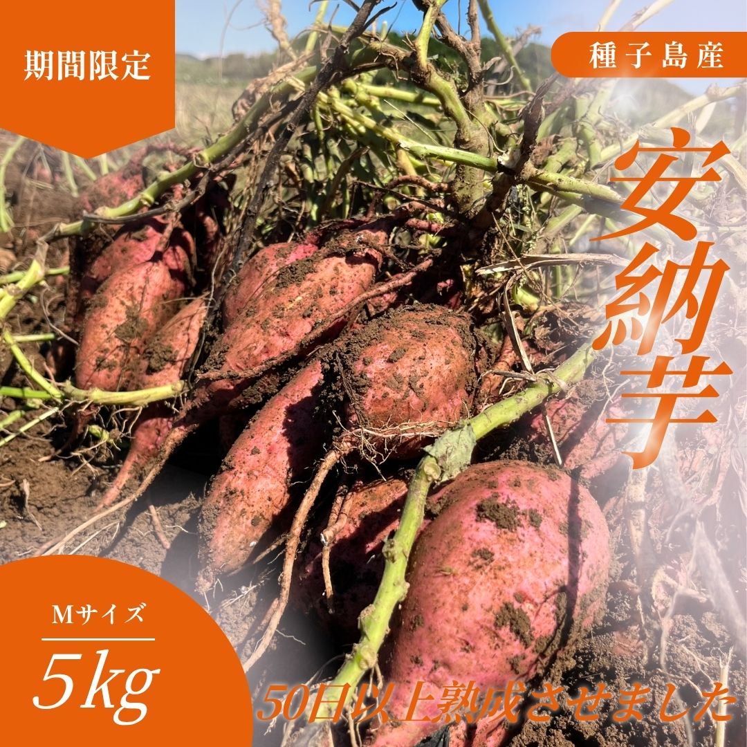 【ふるさと納税】＼ 新物 ／ 種子島 安納いも ＼ Mサイズ 生芋 5kg ／ 西田農産 ふるさと納税 さつまいも 生芋 長期熟成 焼き芋 ホクホク ねっとり 蜜が出るほど 甘い 安納芋 芋 ふるさと 人気 ランキング