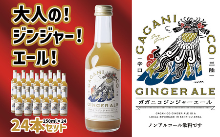 【炭酸飲料】 ガガニコジンジャーエール 24本セット (250ml×24本)【 炭酸 飲料 ドリンク 飲み物 ノンアルコール ジンジャー 北限のゆず ゆず 生姜 ショウガ しょうが 】RT1957