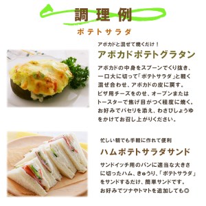 サラダのプロがつくった サラダ 2種類 セット 20袋 個包装 ポテトサラダ マカロニサラダ 