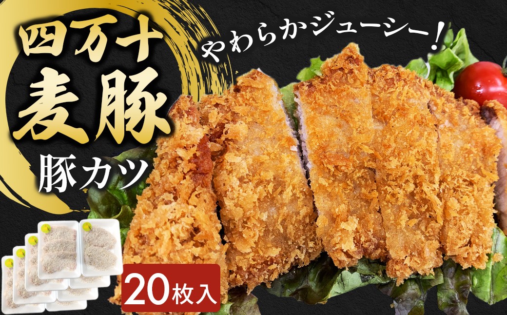 
                  四万十麦豚 豚カツ （約100g×20枚）平野協同畜産 豚肉 麦豚 四万十麦豚 ブランド豚 トンカツ 豚カツ 冷凍カツ 豚ロース 背ロース Ahc-A20
                