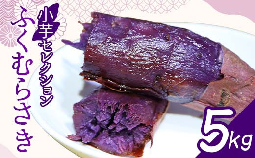 
            栽培期間中、農薬・化学肥料不使用『小芋セレクション ふくむらさき』5kg さつまいも サツマイモ 芋 F3S-2640
          