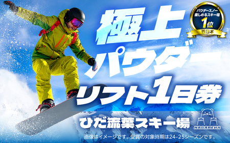 【スキーチケット】ひだ流葉スキー場 リフト券 スキーチケット