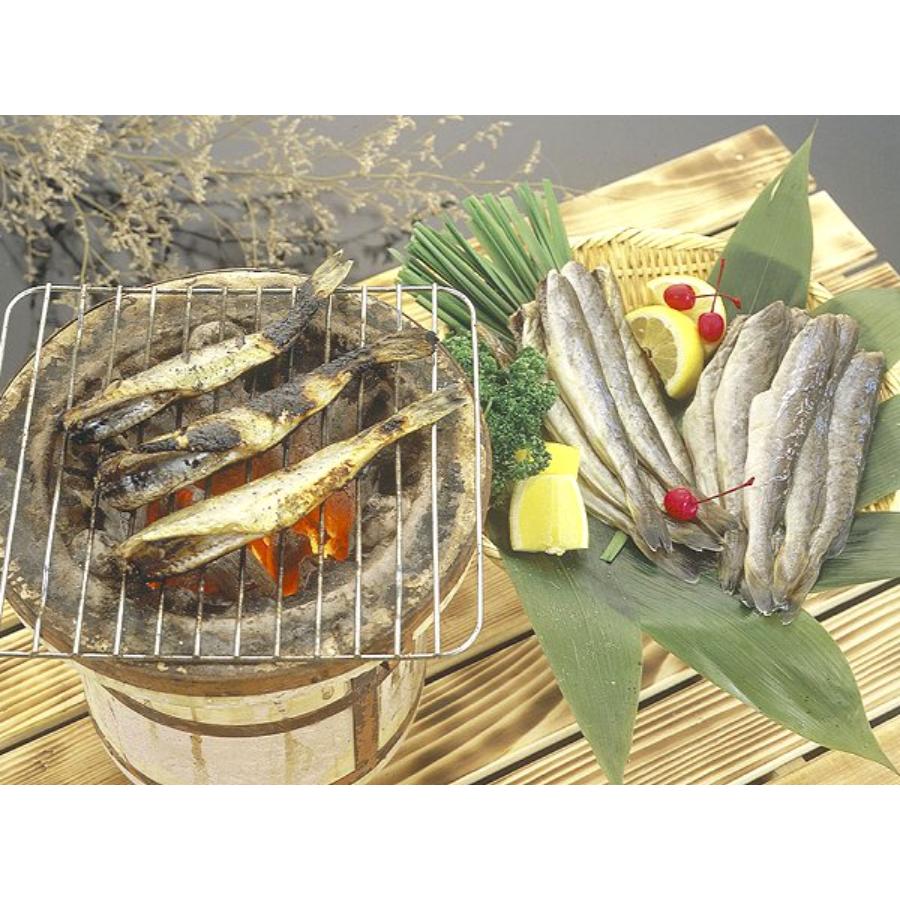 ＜網走水産＞北海道産 生干しこまい1kg×1箱