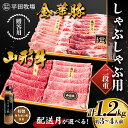 【ふるさと納税】山形県産 しゃぶしゃぶ肉 特製みそポン酢セット 計1.2kg 金華豚 山形牛 贈答用 二段重 平田牧場 (2024年10月中旬頃から順次発送) 約3~4人前 平田牧場 しゃぶしゃぶ用 肉 ロース カタロース モモ 豚肉 牛肉 食品 F2Y-5803