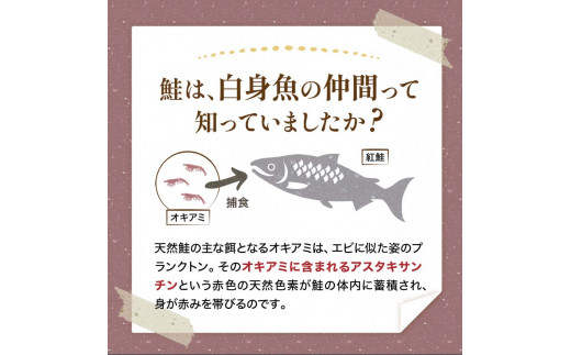 【特選】天然紅鮭切り身（500g真空×2袋）さけ サケ 紅さけ おかず ご飯のお供 お弁当 真空 釧路 北海道 海産物