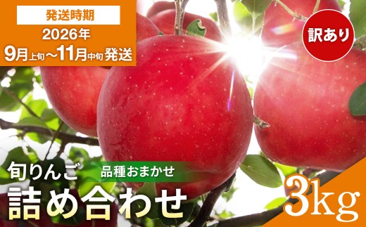 訳あり りんご 早生 品種おまかせ 家庭用 3kg さんさ こうりん シナノスイート シナノゴールド トキ アキタゴールド 秋田紅あかり の中から 濃厚 で ジューシー な 美味しい 林檎 をお届け【藤山果樹園】[L2802]