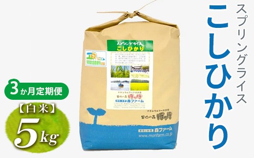 
                  【定期便3か月】令和7年産 3か月毎月届く！スプリングライス こしひかり (白米) 5kg | 定期便 こめ 米 コメ 白米 白飯 精米 コシヒカリ 茨城県産 国産 茨城県 古河市  こだわり おいしい 2025年産  _FN17
                